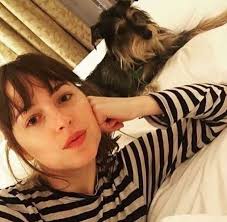 Apparently Zeppelin has passed away. Chris Martin recently paid tribute to  him by dedicating 'Everglow' during a concert in Abu Dhabi. We send Dakota  all our support and love at this very