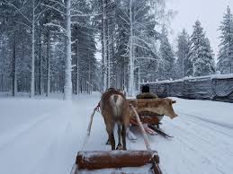 Urlaubsreisen nach finnland sind derzeit aus folgenden 8 ländern erlaubt: 6 Grunde Warum Du Im Winter Nach Finnland Reisen Musst Finntouch