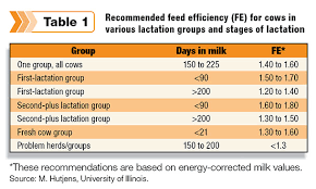 Calculating Feed Efficiency Progressive Dairy