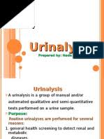 Sistem urinaria berkaitan dengan proses. Sistem Urinaria Kidney Abdomen