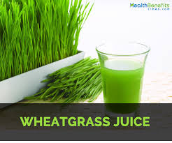 Drink one glass of wheat grass juice daily. Wheat Grass Juice Facts And Health Benefits