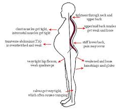 We did not find results for: Top 4 Reasons To See A Chiropractor During Pregnancy Elemental Chiropractic