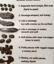 The bristol stool scale is a way to talk about shapes and types of poop, what doctors call stools. Funny Bristol Stool Chart Stlfinder
