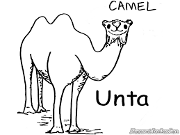 Di ponsel atau tablet android anda, buka google app. 53 Gambar Kartun Unta Paling Bagus Gambar Pixabay