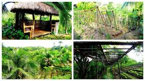 Where To Stay In Aloguinsan Cebu Lunhaw Farm Resort Out Of Town Blog Cebu Resort Farm