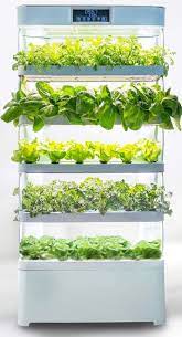 Family Sized Indoor Gardens In 2021 Vertical Garden Indoor Indoor Hydroponic Gardening Indoor Hydroponics