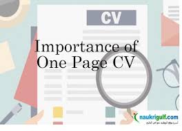 Now, if you're meeting with someone for an actual interview, you can certainly take a shorter version. How To Make A One Page Cv Naukrigulf Com