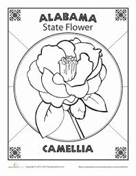 State of alabama coloring page sheets the 50 states coloring pages alabama coloring pages are a fun way to teach pre k through 3rd grade students history geography and demographics and for elementary students to learn about their own and other states. Alabama State Flower Worksheet Education Com Alabama State Kids Art Projects Alabama Crafts