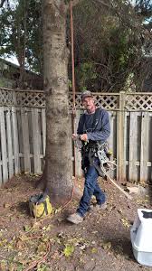 This gentleman deserves to be recognized after coming to the rescue of  Ollie who had been stuck up in a tree in Oshawa for a couple days! Thanks  to Stephen Roberts, from