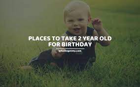 I have two friends whose children are in their first year of schooling. 11 Places To Take 2 Year Old For Birthday What To Get My