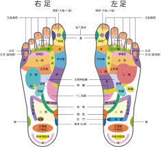 これを読めば足つぼ博士！押すと痛い理由・位置・効果・押し方まとめ