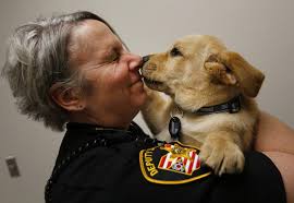 Our best photos in 2017