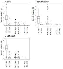 Image result for Platycoryne crocea