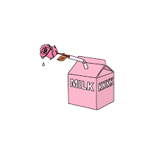 Transparent Aesthetic Humour Source Godgolden Pink Drawing Pastel Pink Aesthetic Pink Aesthetic