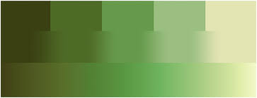 Html color codes, color names, and color chart with all hexadecimal, rgb, hsl, color ranges, and swatches. This Figure Shows The Construction Of A Green Color Scale That Moves Download Scientific Diagram