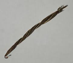 Image result for Streptocarpus arcuatus