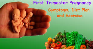 First Trimester Pregnancy Symptoms Diet Plan And Exercise