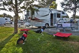 Pin On Travel Campsites