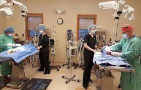 Dr charmaine xuereb, the principal vet/practice owner and her staff, are all multiple pet owners and appreciate how important your pets are to your daily lives. Best Friends Veterinary Hospital Powell Columbus Ohio