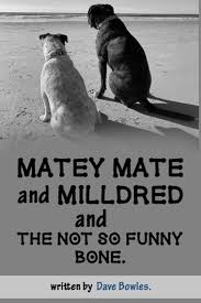 Matey Mate and Milldred and the Not So Funny Bone. eBook by Dave Bowles