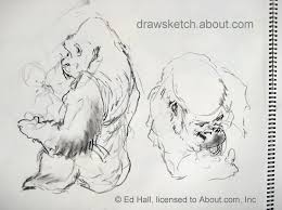 Photo, sketch and paint effects. Sketching Animals At The Zoo And Beyond