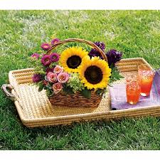 Компания в области ландшафтного дизайна, плотник. Artistic First Florist Vero Beach Fl 32960 Aquatek Pro