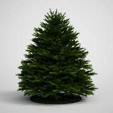 By distinguishing common evergreen tree varieties. Evergreen Tree Fir 20 Cgaxis 3d Models Store