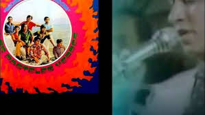 BABY/LOS PASTELES VERDES/ CANTA ALDO GUIBOVICH