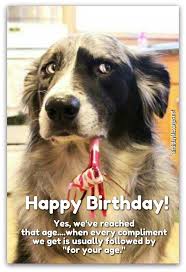 Download Free 170 Funny Birthday Wishes For Adults The Quotes Land Funny Animal Pictures Funny Animals Cute Animals