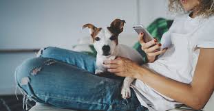Plans covering wellness, illness, emergency & more. Best Pet Insurance Companies For 2019 According To Actual Pet Owners