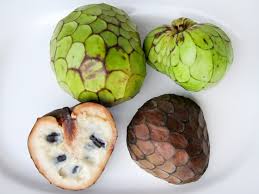 Image result for Annona cherimola