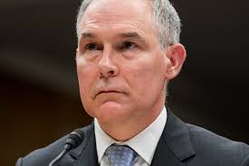 Recording reveals oil industry execs laughing at Trump access