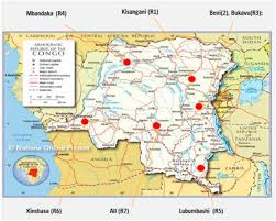 Image result for Thomandersia laurentii