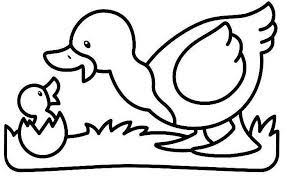 Img Dessins A Colorier Caneton Canard Jpg Dessin A Colorier Colorier Coloriage Enfant