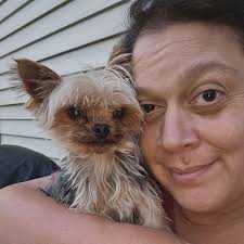 Yorkie Attacked by Another Dog, Owners Share Experiences and Advice