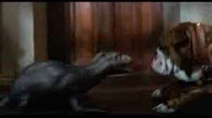 Meu monstro de estimação torrent título original: Meu Monstro De Estimacao Youtube