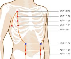 How do you check your spleen? Pin On Beauty Tips