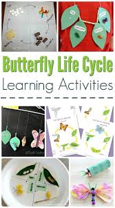 Butterfly Life Cycle Learning Activities Large Family Table Kids Learning Activities Life Cycle Learning Butterfly Life Cycle