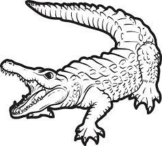 On the way of the heroes there are a variety of monsters. Crocodile Drawings For Kids Coloring Home