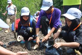 Dalam konteks pendidikan kebangsaan, kegiatan kokurikulum merupakan satu program penting demi. Malaysian Nature Society Mns