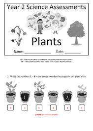World of science & technology. Year 2 Science Assessment Plants Teaching Resources