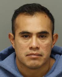 Eight suspects arrested in child sex predator & human trafficking sting,  parents urged to remain vigilant Eight suspects have been arrested as part  of a multi-jurisdictional undercover sting operation targeting child sex