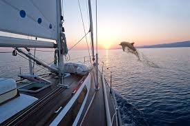 Doplhin Jumping Near Sailing Boat At Sunrise Aff Jumping Doplhin Sailing Sunrise Boat Ad Nature Images Sailing Boat