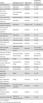 Breast cancer dataset #1 results classified with ap why use affinity propagation? List Of Bait Proteins Used In Affinity Purification Experiments Download Table
