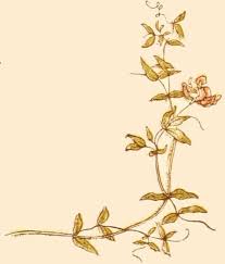 Death death deceit deceit deceit deceitful charms. The Project Gutenberg Ebook Of Language Of Flowers By Kate Greenaway Language Of Flowers Borders And Frames Flowers