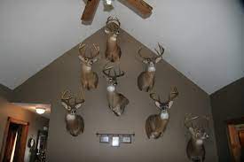 Hunting safari style allows deer hunters to cover the entire ranch in a day and be more selective in the trophy that is harvested. Who Has The Best Whitetail Trophy Room On Here Page 5 Trophy Rooms Hunting Room Western Living Room Decor