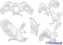 Bird With Wings Spread Drawing Easy Pin On How To