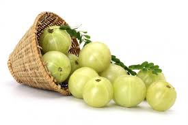 Amla: The Indian Gooseberry | Anti Aging Fruits for Skin
