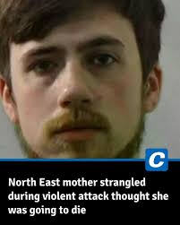 A County Durham mother who was strangled during a violent attack "genuinely  believed she was going to die", a court heard. Liam Herron unleashed a  violent assault