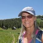 Limestone Kilns and Big Ben Redwood Loop, Felton, California